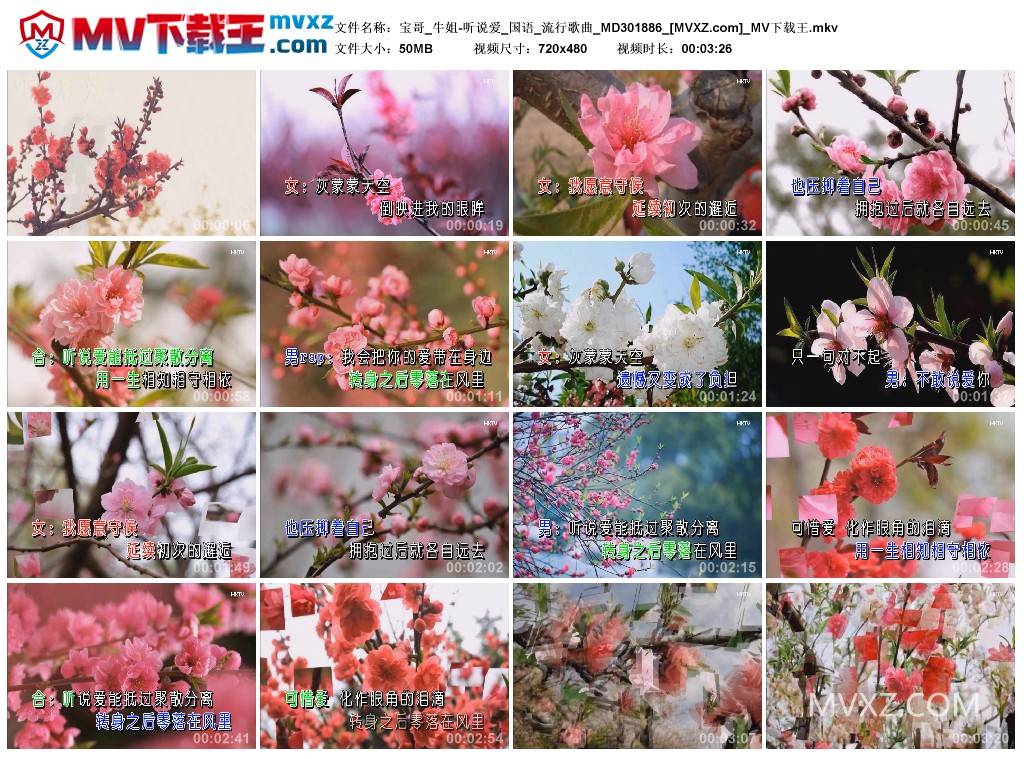 宝哥_牛姐-听说爱_国语_流行歌曲_MD301886